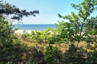New holiday apartment in Mrzezyno - Mrzeżyno - 8