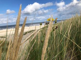 'SONNE & MEER' - Langeoog - 0