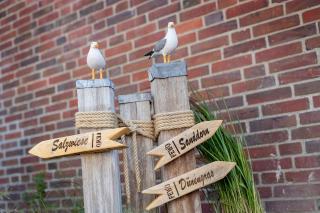 DÜNENGRAS im Beerkutscherhuus - Langeoog - 8