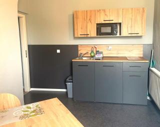 Pension am Pollingpark Haus II - Dessau - 2