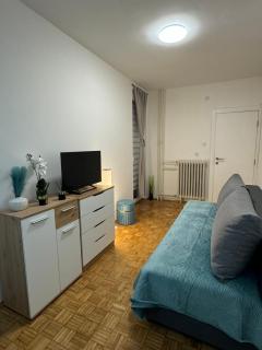 Stan na dan - Novi Sad - 1