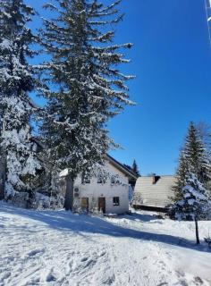 Apartmani Jahorinka - Jahorina - 0