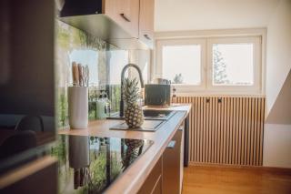 Helles Bergblick Luxus Apartment - Braunlage - 2