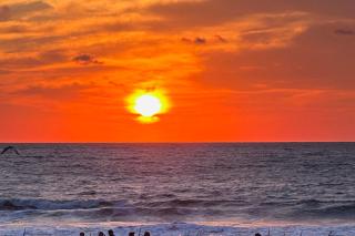 Million Pebbles - Carolina Beach - 7