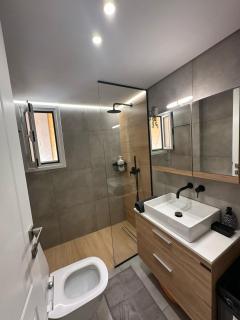 Mihaela-Andreea Luxury House - Atene - 8