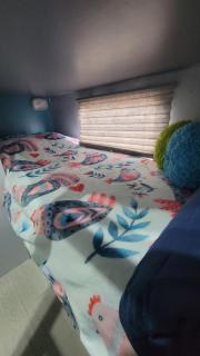 Shroom life farm Chicken shack - 8