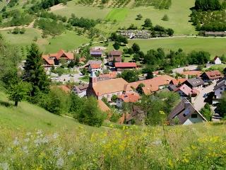 Wohnung mit Balkon im Schwarzwald - Seebach - 2