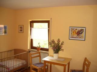 Wohnung mit Balkon im Schwarzwald - Seebach - 8