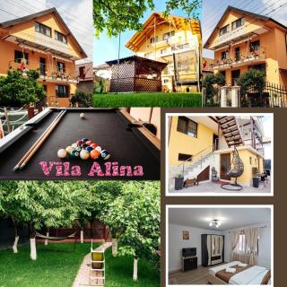 Vila Alina Calimanesti - Călimăneşti - 0
