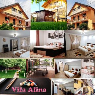 Vila Alina Calimanesti - Călimăneşti - 9
