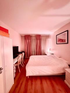 Charming flat beside Champs-Élysées - Parigi - 2