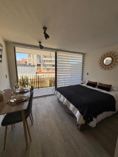 Comfortable and centrally located apartment - Santiago - 0