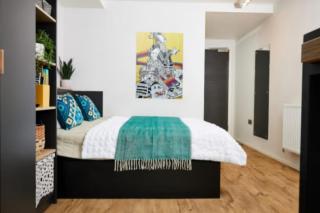Vita Pebble Mill Premium Student Studio in Birmingham - Birmingham - 3
