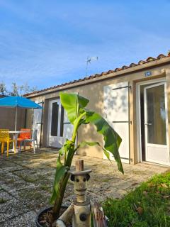 Joli Cottage Confort 1 chambre en forêt au Village Vacances - Mareuil-sur-Lay - 0