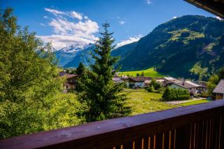 Hotel Sonnhof Rauris - Rauris - 8