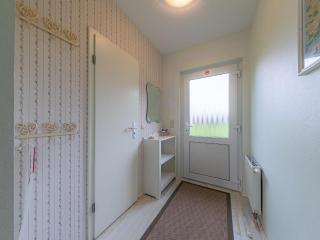 Kornblume_DH - Groß Kelle - 9