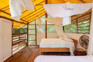 Cabaña Zapote en Rancho Los Jaguares Jungle Retreat Tulum - 1