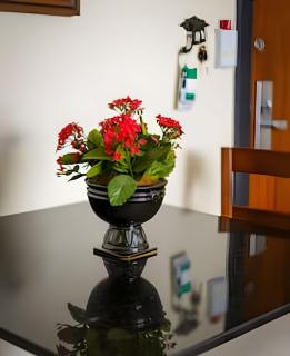 Petfriendly, conforto e boa localização, garagem - Curitiba - 5