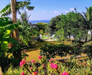 Lakaz Kreol Soupir Tourist Résidence - Rodrigues Island - 8