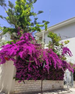 City Garden & Private Parking - Trani - 0