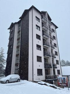 Studio Snežana - Zlatibor - 9