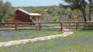 Texas T Bed and Breakfast - Llano - 7