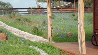 Texas T Bed and Breakfast - Llano - 6