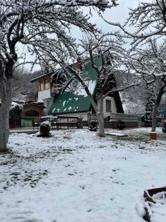 Vila Presjenica - - 7