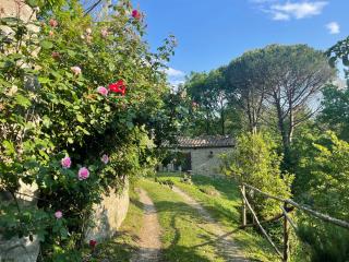 Agriturismo Castellare - Molino del Piano - 8