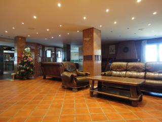 Hotel Nevasur - 8
