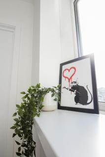 Newly Renovated 4 bedroom House Free WIFI Free Parking Sleeps 8 Near Cardiff - Pontypridd - 5