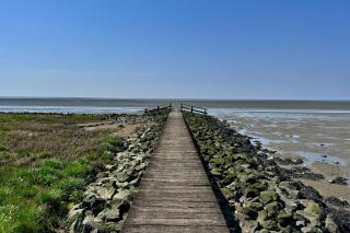 Appartement Cappel Whg 16 - Cappel-Neufeld - 2