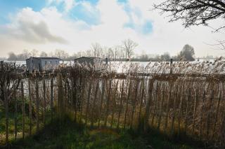 Ferienpark Süderstapel - Hausboot 2 - Süderstapel - 5