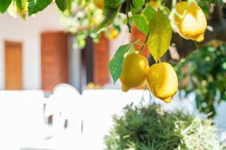 Casa Sole a Canneto - Lipari - 6