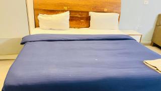 Dev Palace and Studio Apartments - Near IGI Aiport - Nova Deli - 4