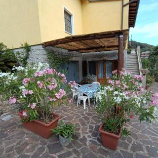 Appartamento nel parco - Marciana - 2