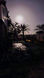 Serene Escape in Porto Madeira - Sacramento - 2