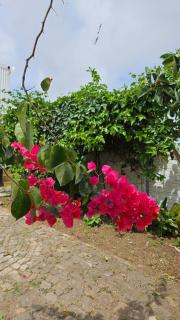 Serene Escape in Porto Madeira - Sacramento - 1