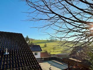 Boardinghouse Zur Rose - Leidersbach - 3