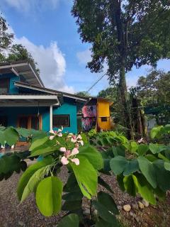 E3 Fenix House - Cocles - 8