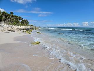 Casa Armonia - Playa del Carmen - 7