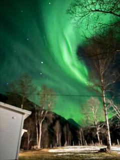 House at Elvevoll - 8