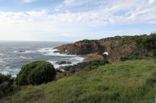 Tathra Hotel & Motel - 6