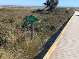 Shore Fun-Beautiful, Many upgrades with Bikes and Chairs - Hilton Head Island - 7