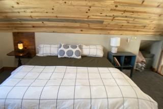 Secluded Modern Cabin On 10 Acres Tarryall Creek - 2