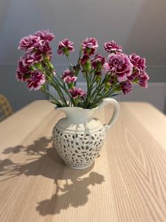 Primrose Lodge in Maldon - 7