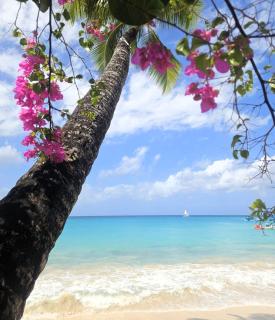 Breezy Vista on the Terrace - West Coast, Saint James, Barbados - 1