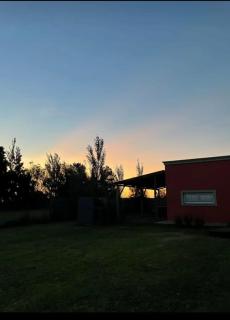 La Narcisa - 1