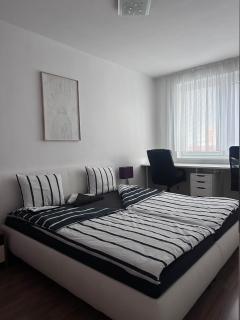 Apartment near the Old Bridge - 1