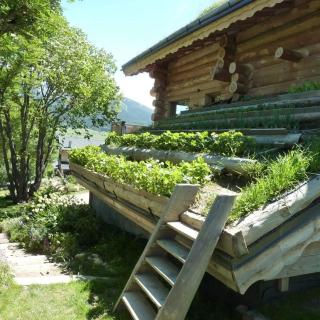 Chalet de montagne 10 voyageurs prés de Font-Romeu 1600m - La Cabanasse - 4